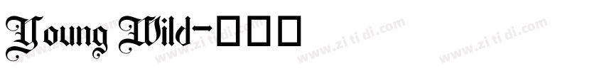Young Wild字体转换